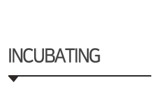 ../img/sub/left_Business.gif